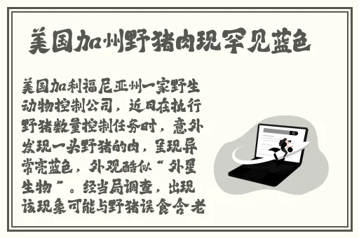 360偷拍