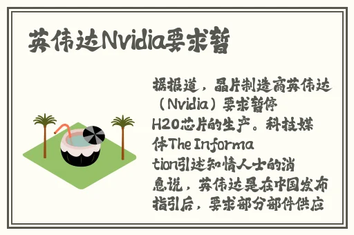 裸体双人荒野求生免费没码观看